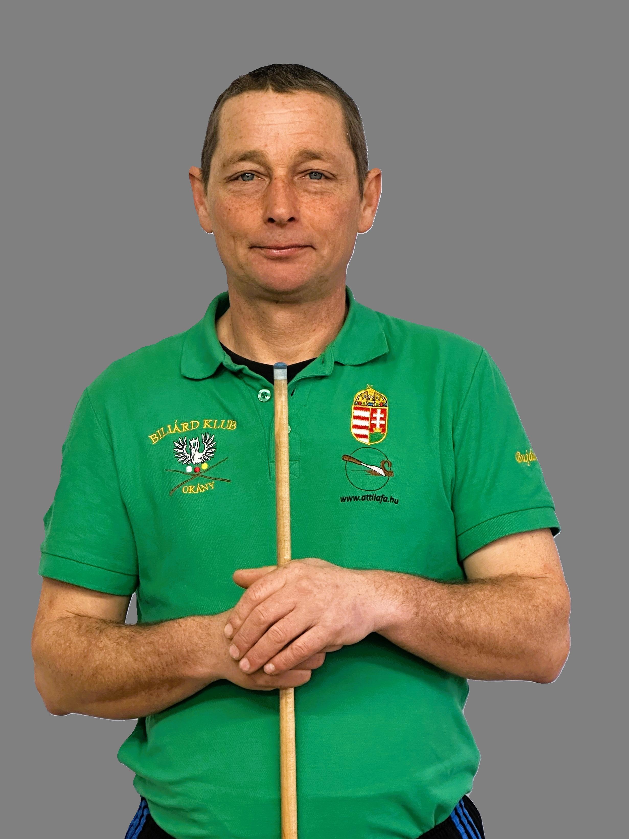 Bujdosó Attila avatar
